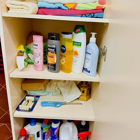 Orange Tree House * Tirana