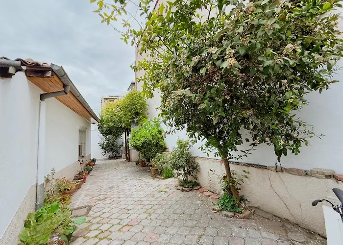 Orange Tree House Tirana