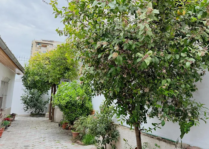 Orange Tree House * 티라나