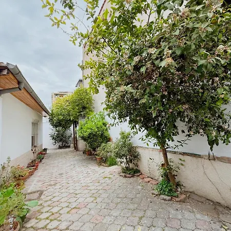 Orange Tree House ティラナ