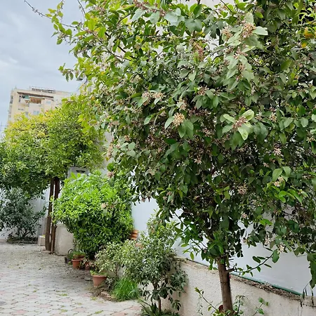 Orange Tree House * ティラナ