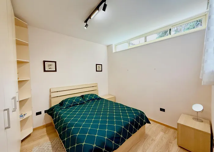 别墅 Orange Tree House 地拉那