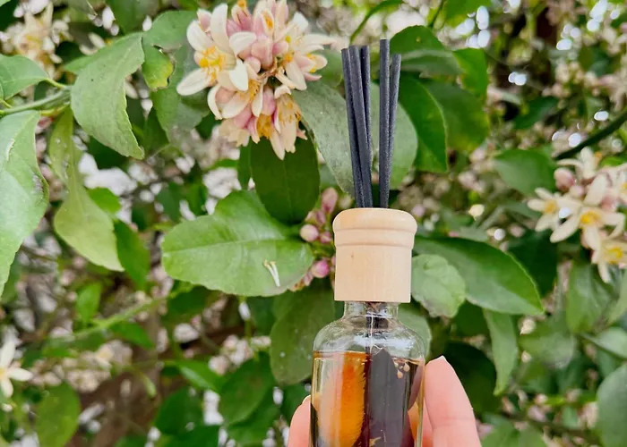 Orange Tree House * ティラナ