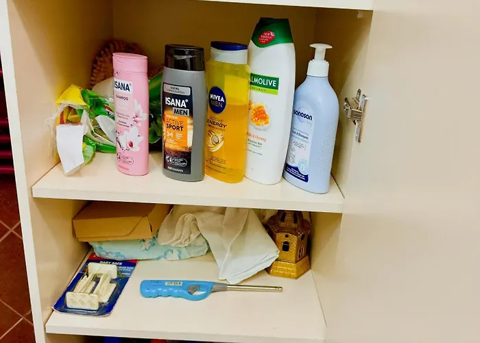 Orange Tree House * ティラナ